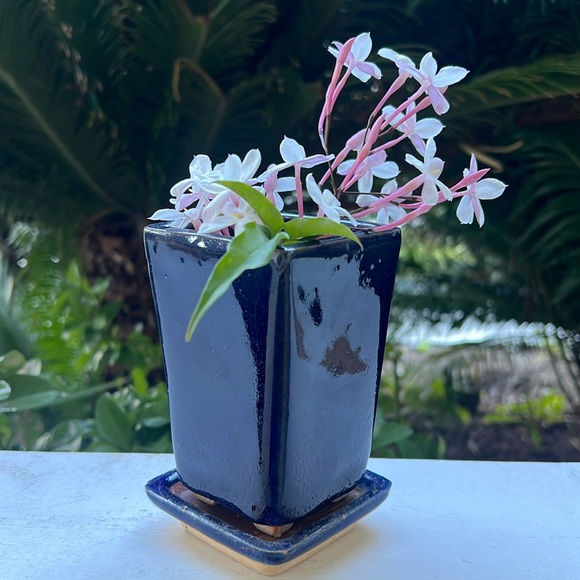 Vintage Glazed Ceramic Pot with Saucer - Picture 1 of 16